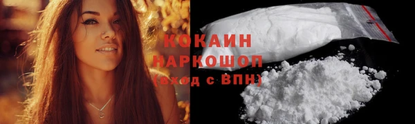 ECSTASY Липки