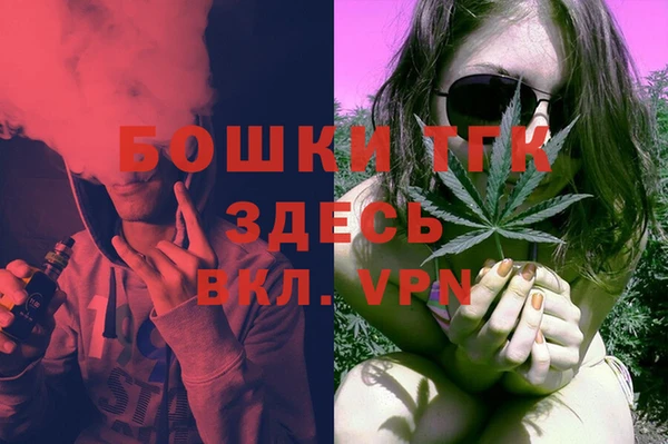 ECSTASY Липки
