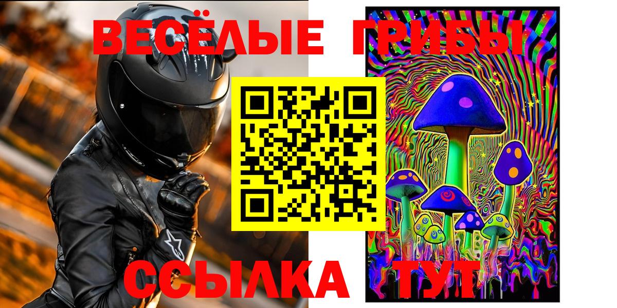 Псилоцибиновые грибы прущие грибы  Вход с VPN  Псилоцибиновые грибы Cubensis  Людиново 